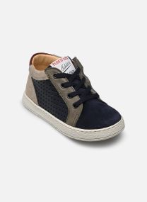 Sneaker MOUSSE LACE PERFO jungen mehrfarbig Pom d Api Sneaker MOUSSE LACE PERFO jungen mehrfarbig MARINE-KAKI