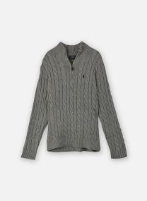 Pullover Lsdriverhzpp-Long Sleeve-Pullover herren grau