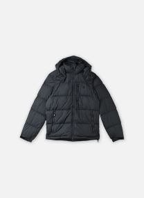 Daunenjacken Grhm Jkt-Insulated-Bomber herren grün Polo Ralph Lauren Daunenjacken Grhm Jkt-Insulated-Bomber herren grün CHARCOAL GREY