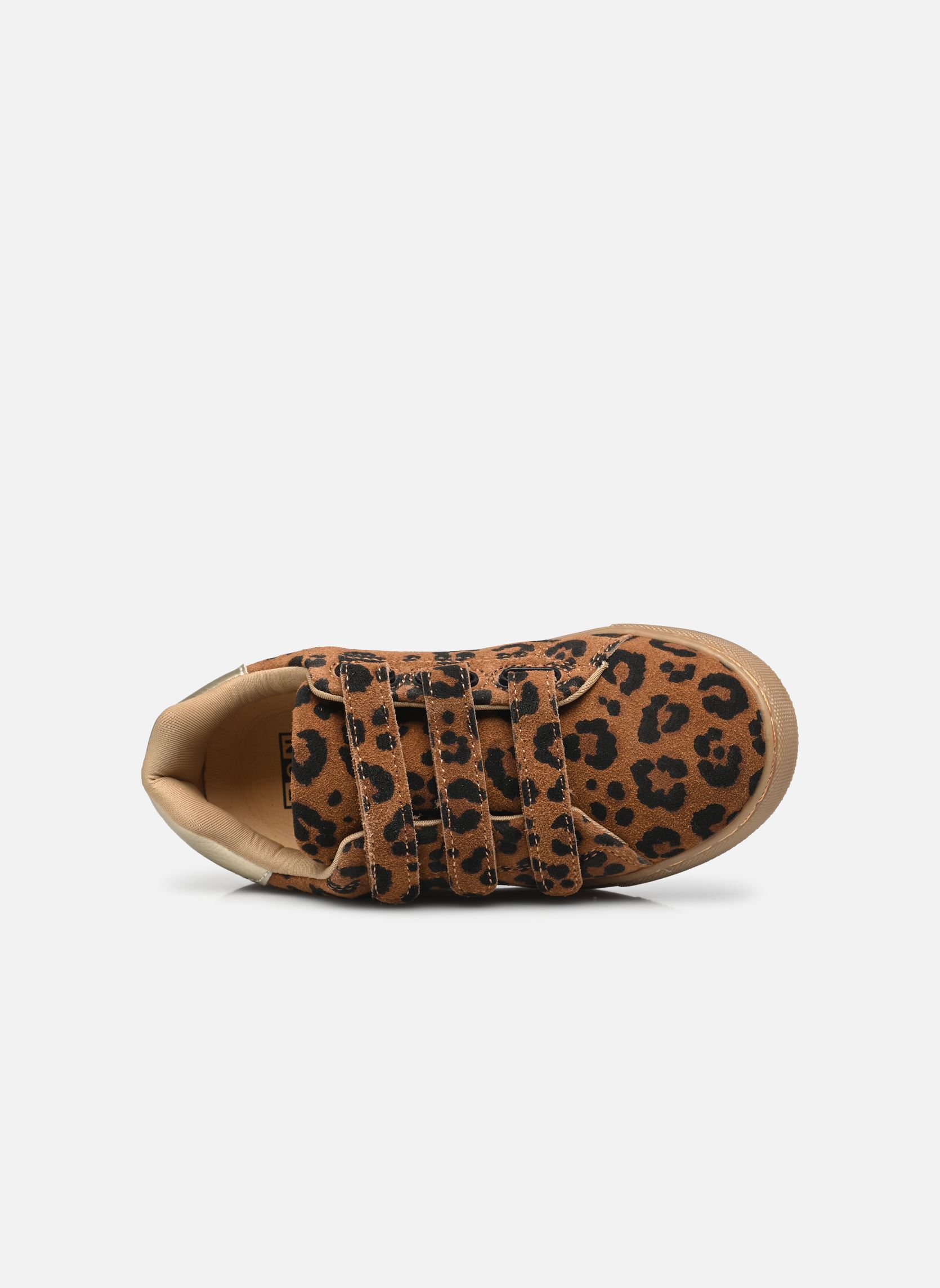Sneaker BASIL NS mädchen braun Bonton Sneaker BASIL NS mädchen braun Leo Dk Camel