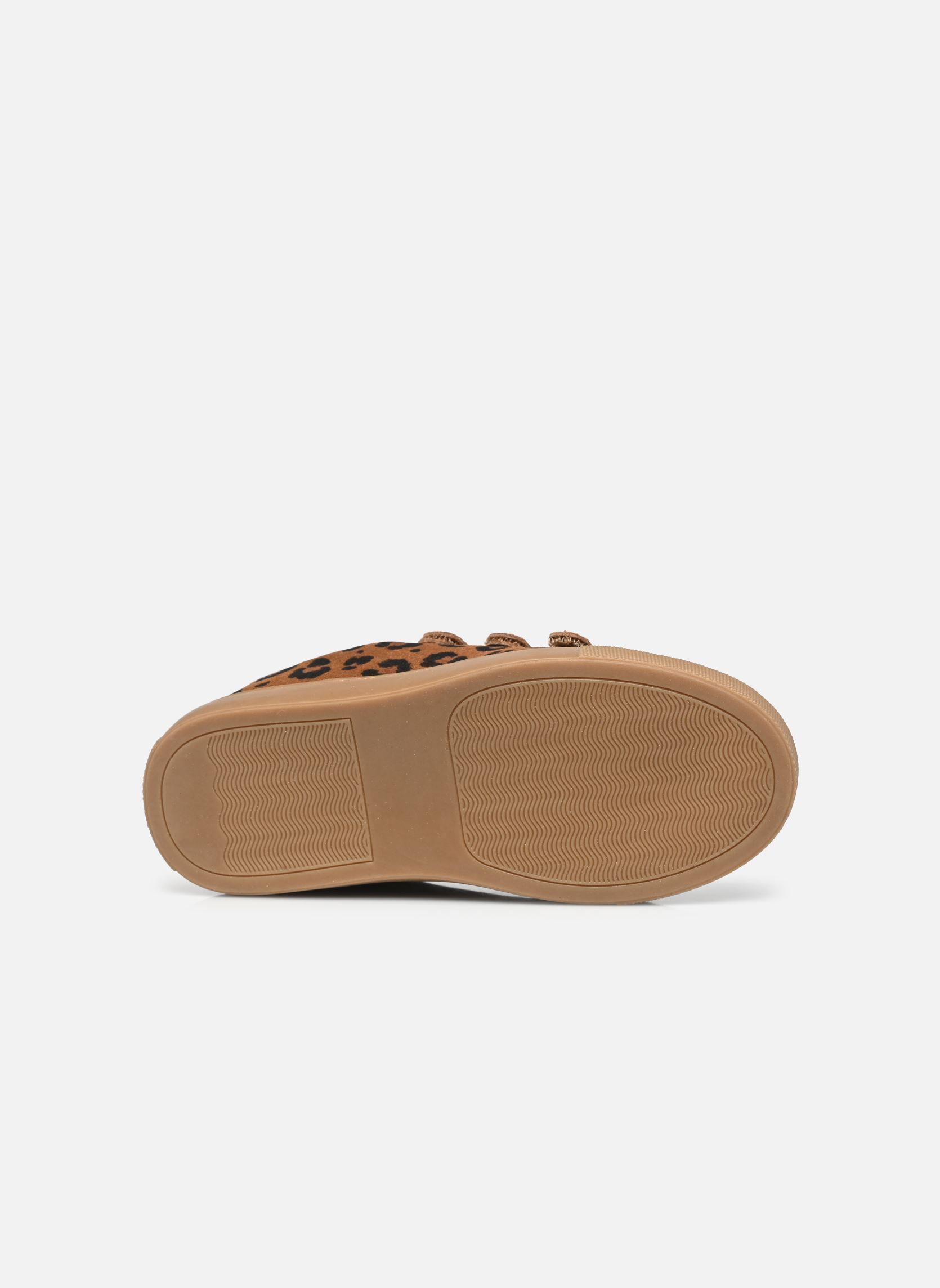 Sneaker BASIL NS mädchen braun Bonton Sneaker BASIL NS mädchen braun Leo Dk Camel