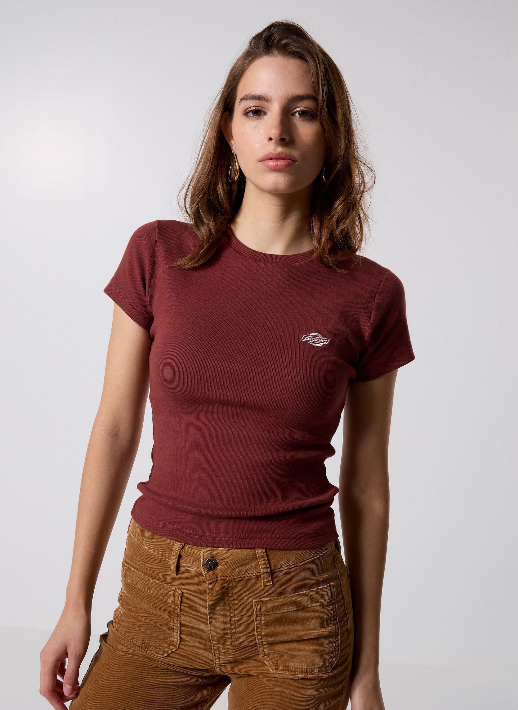 Vêtements Dickies Gladeville Tee Ss W pour Accessoires