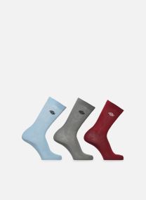 Socken Summerdale 3Pk weiß Dickies Socken Summerdale 3Pk weiß TIBETAN RED