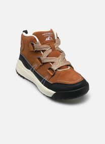 Geschnürte Stiefeletten Yana - Collins Landing damen braun Skechers Geschnürte Stiefeletten Yana - Collins Landing damen braun WTBK