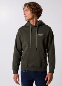 Sweats à capuche Mesh COUPE REGULAR homme vert