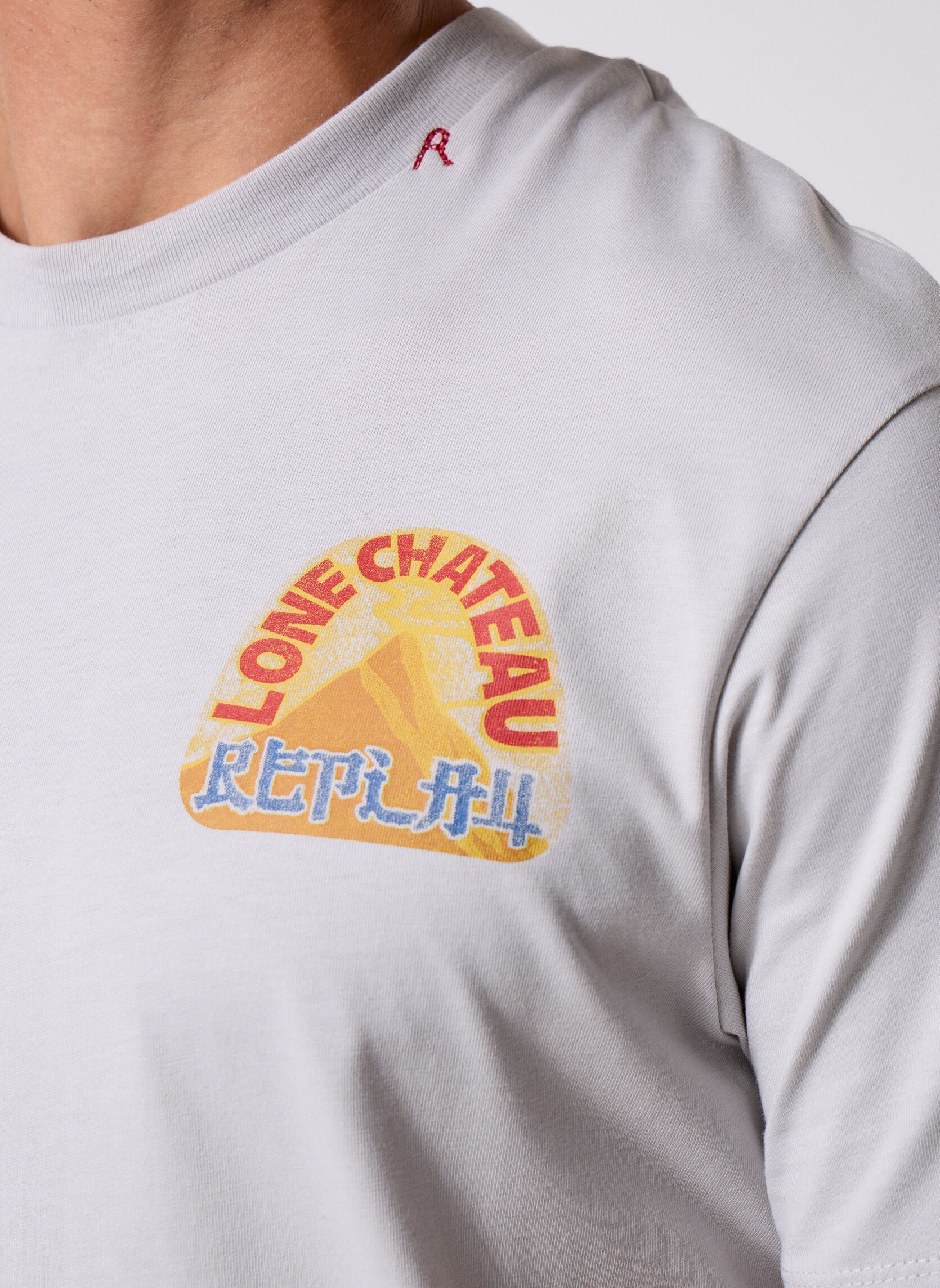 Tee-shirts manches courtes TShirt PIECE DYED HEAVY COTTON JERSEY CO homme gris Replay Tee-shirts manches courtes TShirt PIECE DYED HEAVY COTTON JERSEY CO homme gris ICE