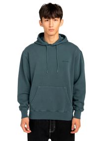 Sweats à capuche Lowcase Pigment Po homme beige
