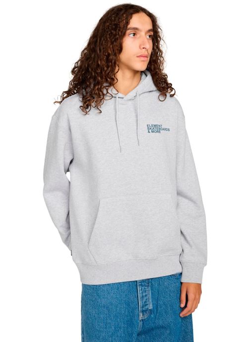 Element Sweats à capuche Motion Tree Po homme gris