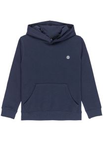 Sweats à capuche Icon Embroidery Po Y garçon vert