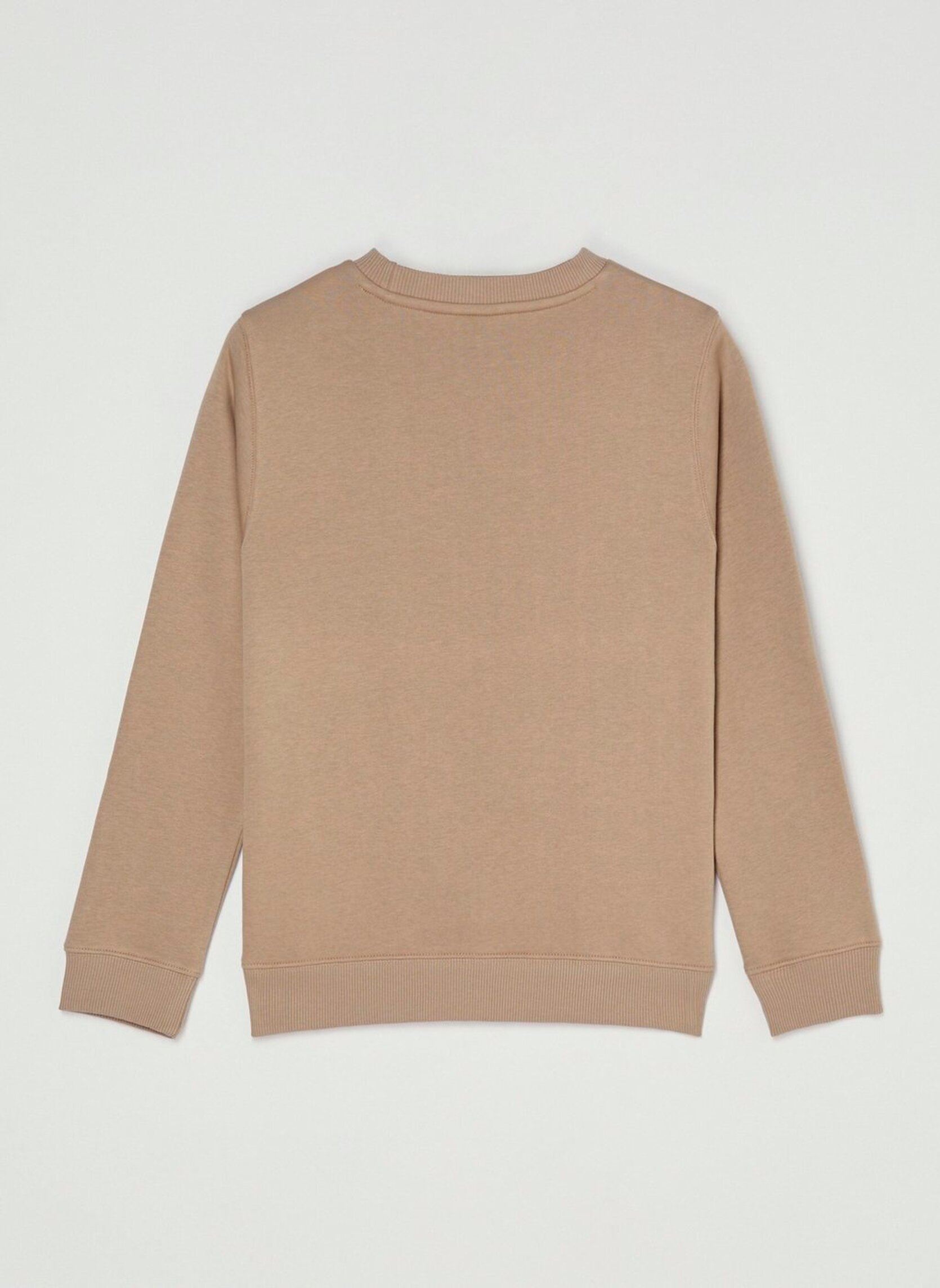 Sweatshirts mit Reißverschluss Icon Embroidery Cr Y jungen beige Element Sweatshirts mit Reißverschluss Icon Embroidery Cr Y jungen beige ALUMINUM