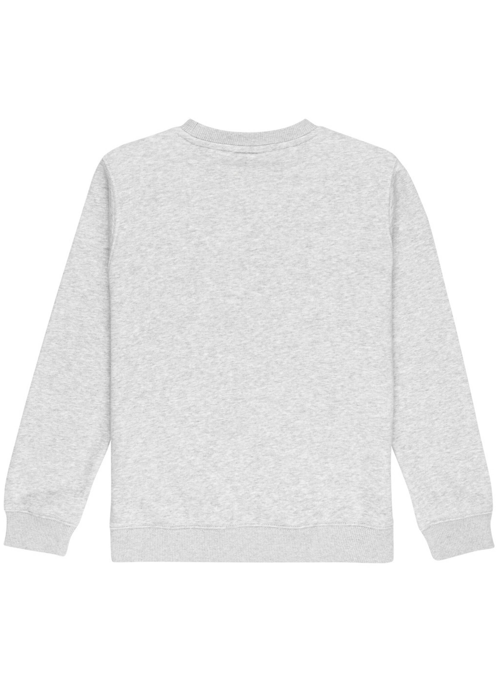 Sweaters met rits Icon Embroidery Cr Y jongens grijs Element Sweaters met rits Icon Embroidery Cr Y jongens grijs MID GREY HEATHER