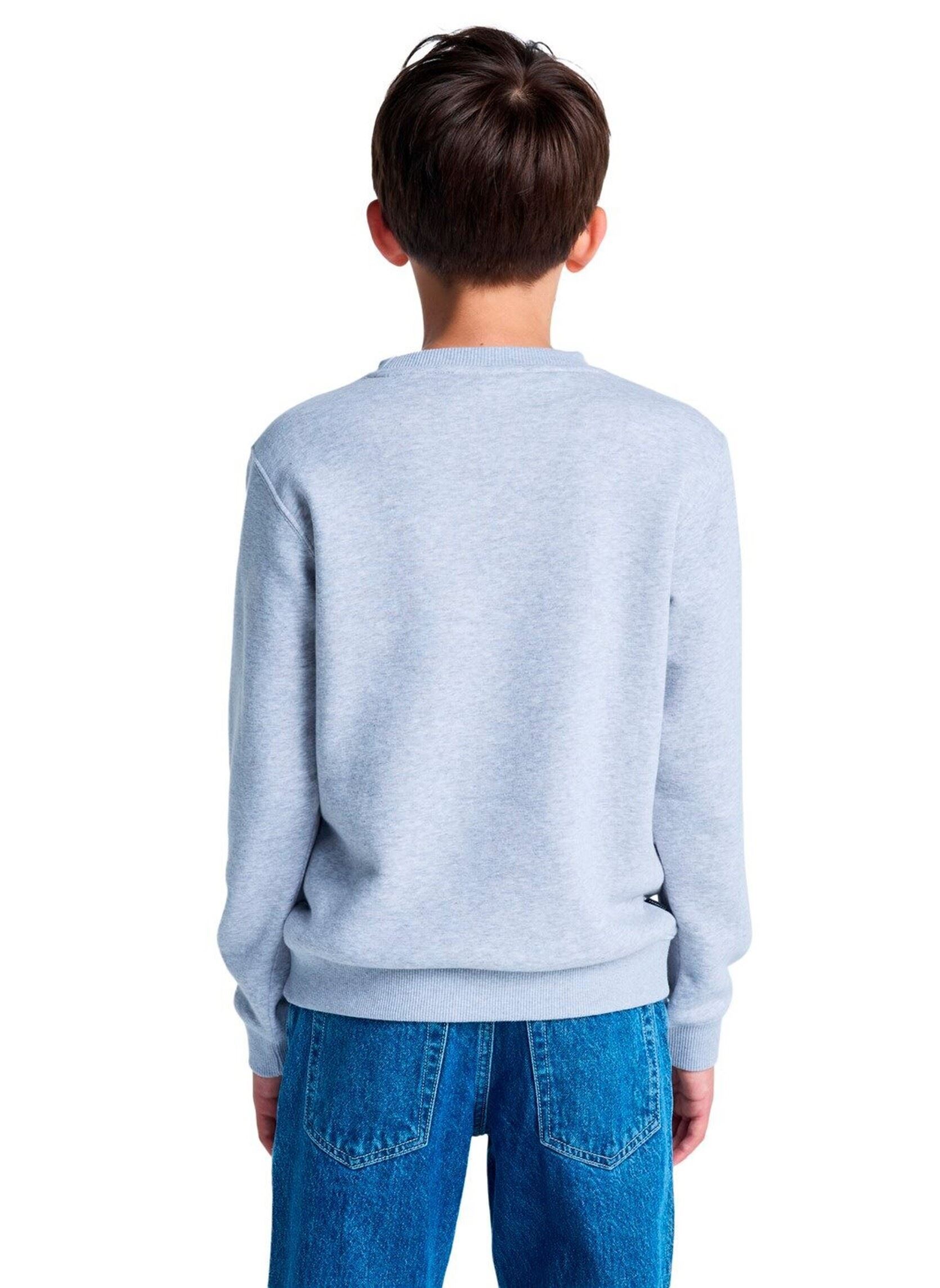 Sweaters met rits Icon Embroidery Cr Y jongens grijs Element Sweaters met rits Icon Embroidery Cr Y jongens grijs MID GREY HEATHER