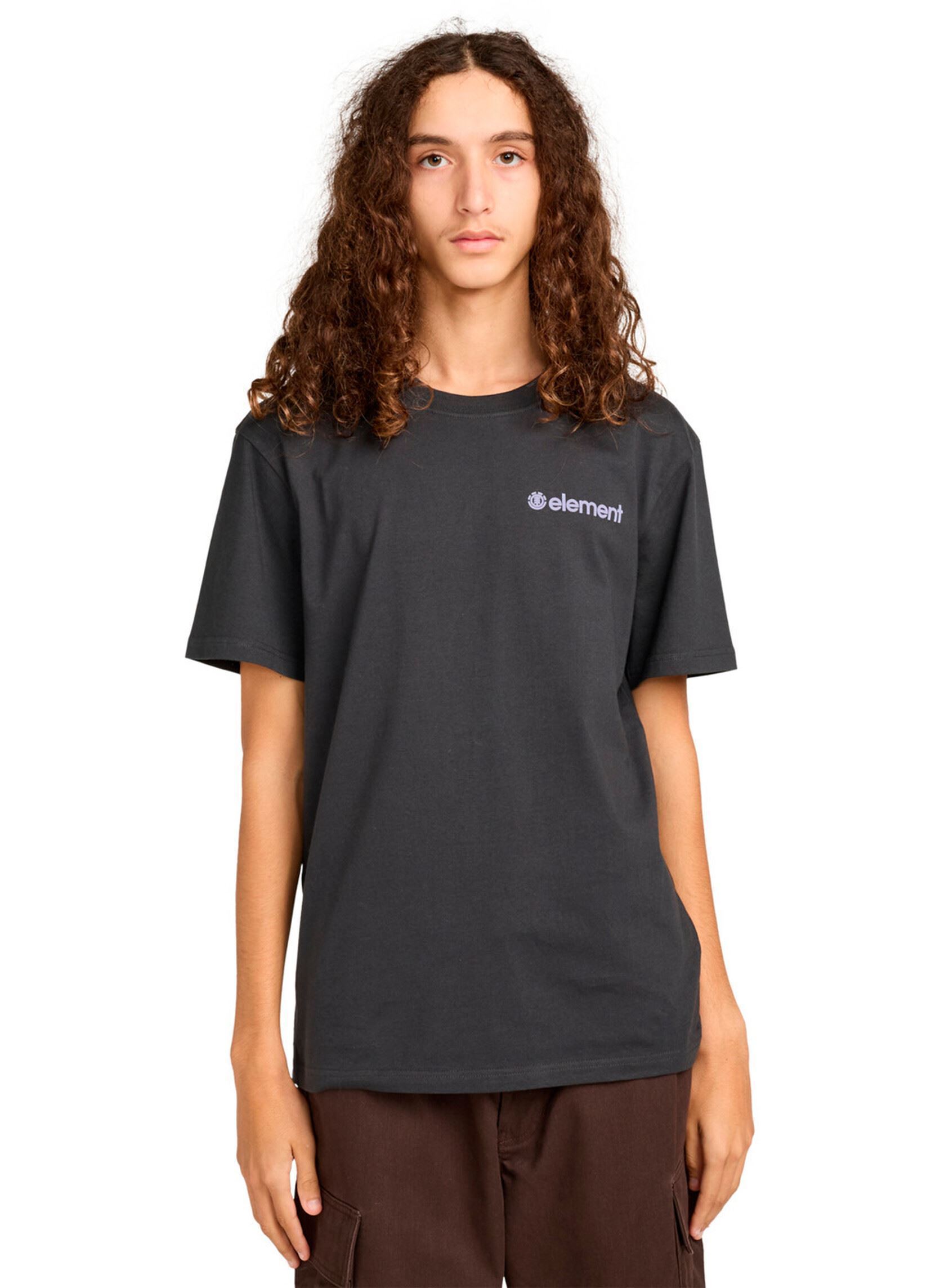 Tee-shirts manches courtes 4 Elements Ss homme noir Element Tee-shirts manches courtes 4 Elements Ss homme noir OFF BLACK
