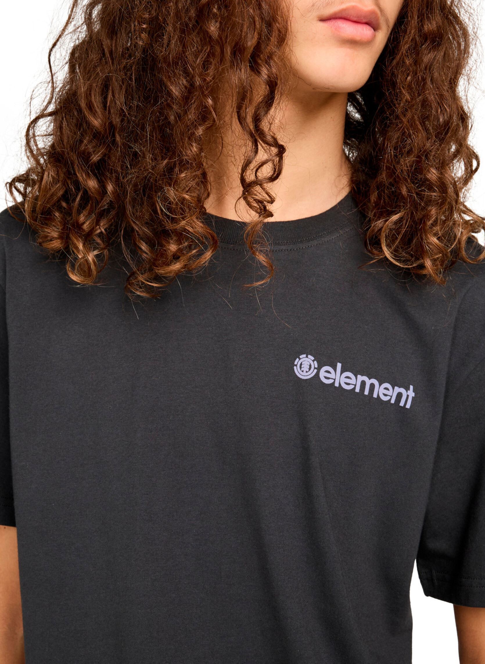 Tee-shirts manches courtes 4 Elements Ss homme noir Element Tee-shirts manches courtes 4 Elements Ss homme noir OFF BLACK