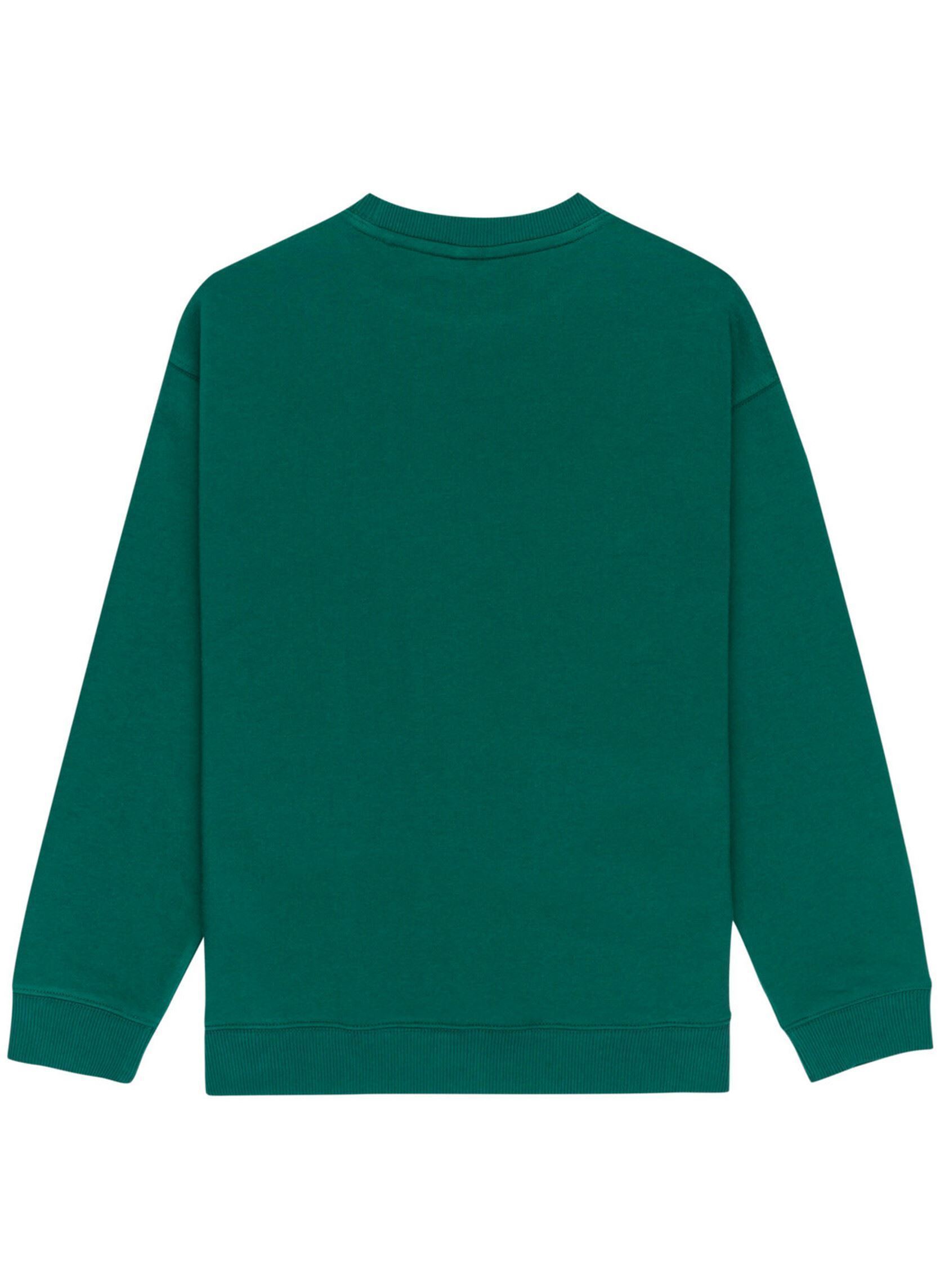 Sweats à capuche Central Lowcase Cr Y garçon vert Element Sweats à capuche Central Lowcase Cr Y garçon vert DARK GREEN
