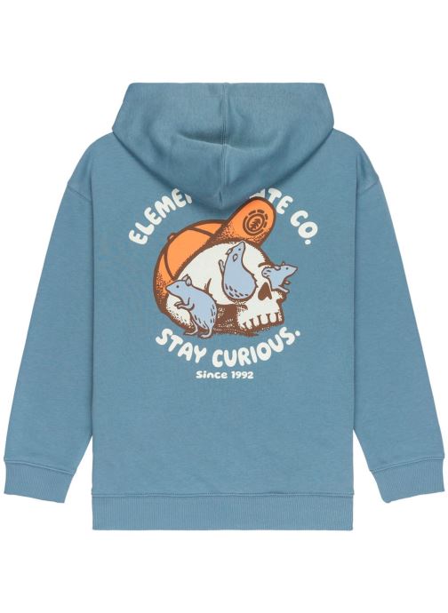 Element Sweats à capuche Curious Po Y garçon bleu