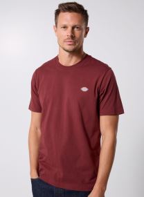Tee-shirts manches courtes Ss Mapleton Tee homme bordeaux