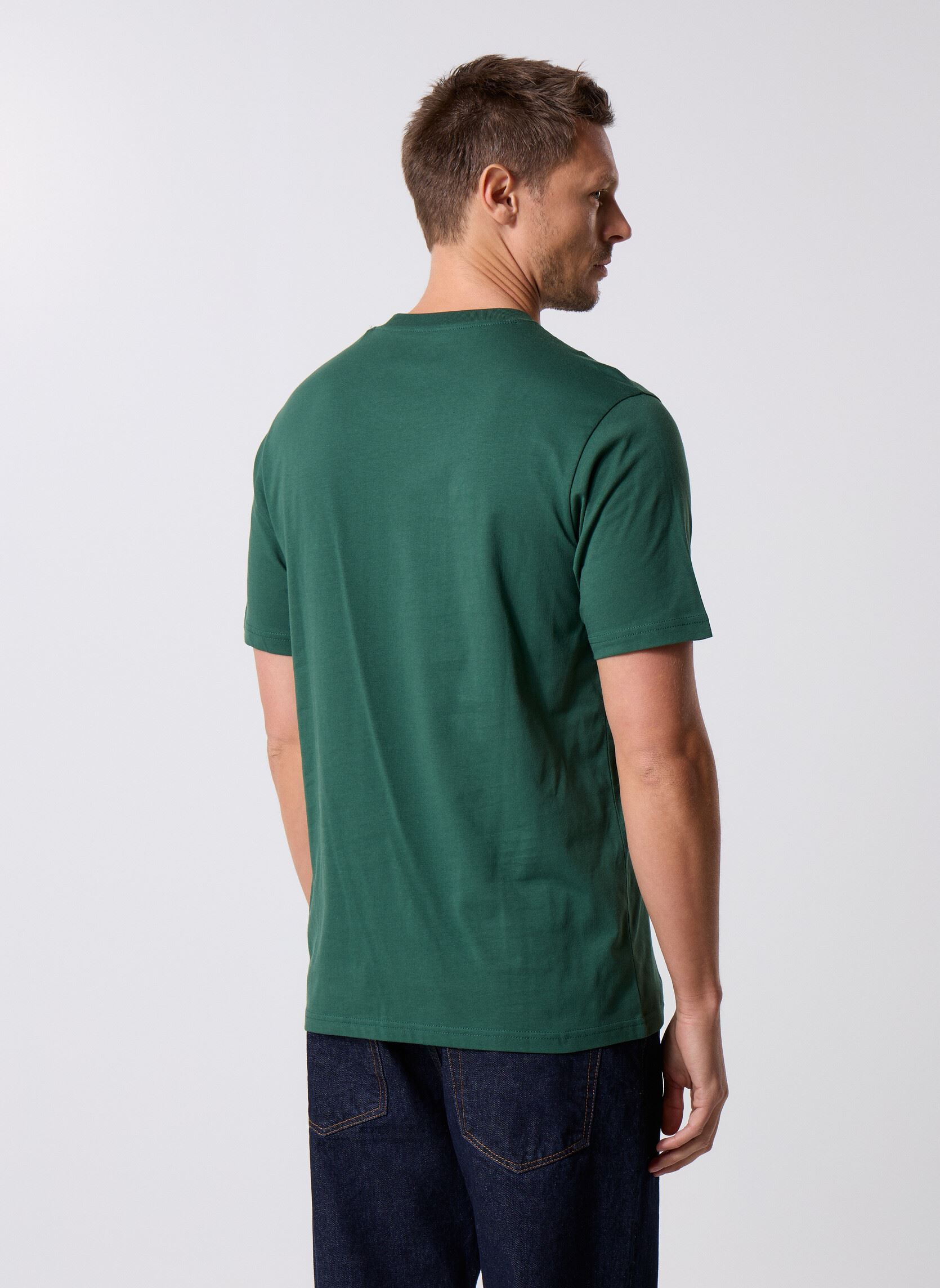 Kurzarm-T-Shirts Ss Mapleton Tee herren grün Dickies Kurzarm-T-Shirts Ss Mapleton Tee herren grün PINE NEEDLE GREEN