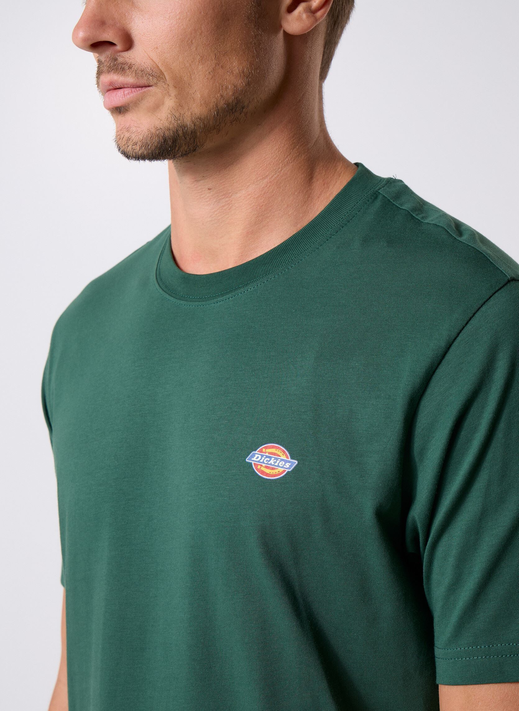 Kurzarm-T-Shirts Ss Mapleton Tee herren grün Dickies Kurzarm-T-Shirts Ss Mapleton Tee herren grün PINE NEEDLE GREEN