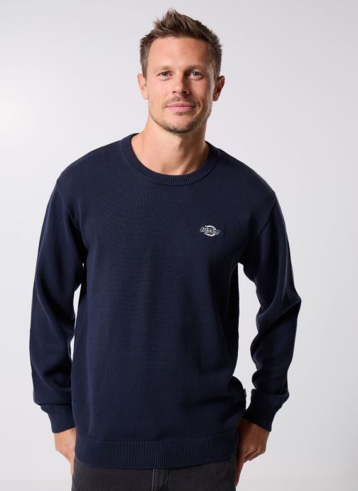 Dickies Sweats Summerdale Sweater homme bleu
