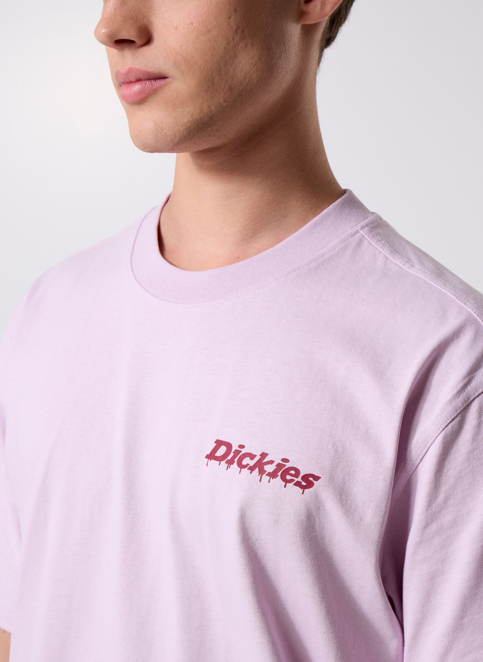 Tee-shirts manches courtes Statesville Tee Ss homme rose Dickies Tee-shirts manches courtes Statesville Tee Ss homme rose WINSOME ORCHID