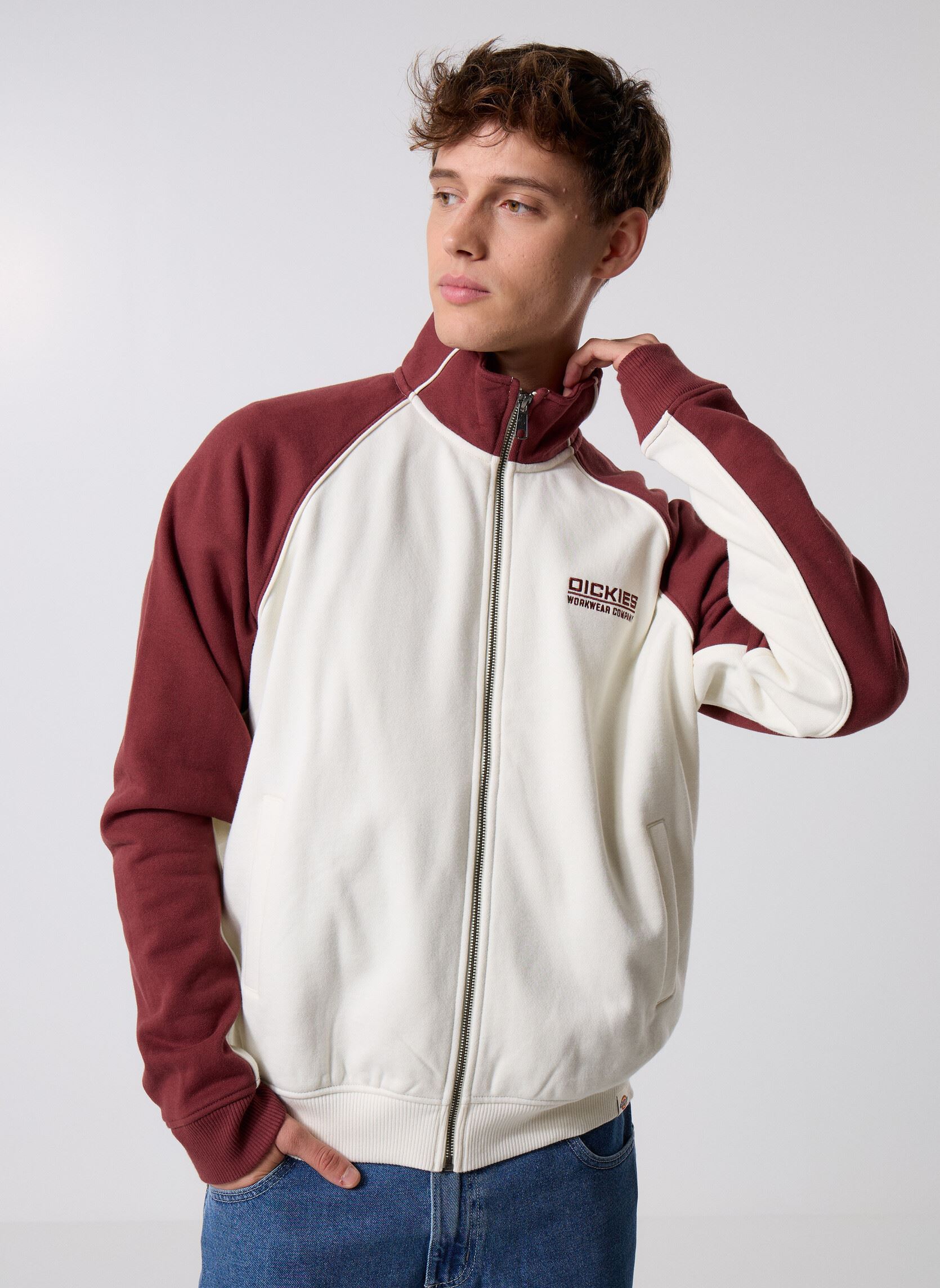 Vêtements Dickies Bolivar Fz Sweatshirt pour Accessoires