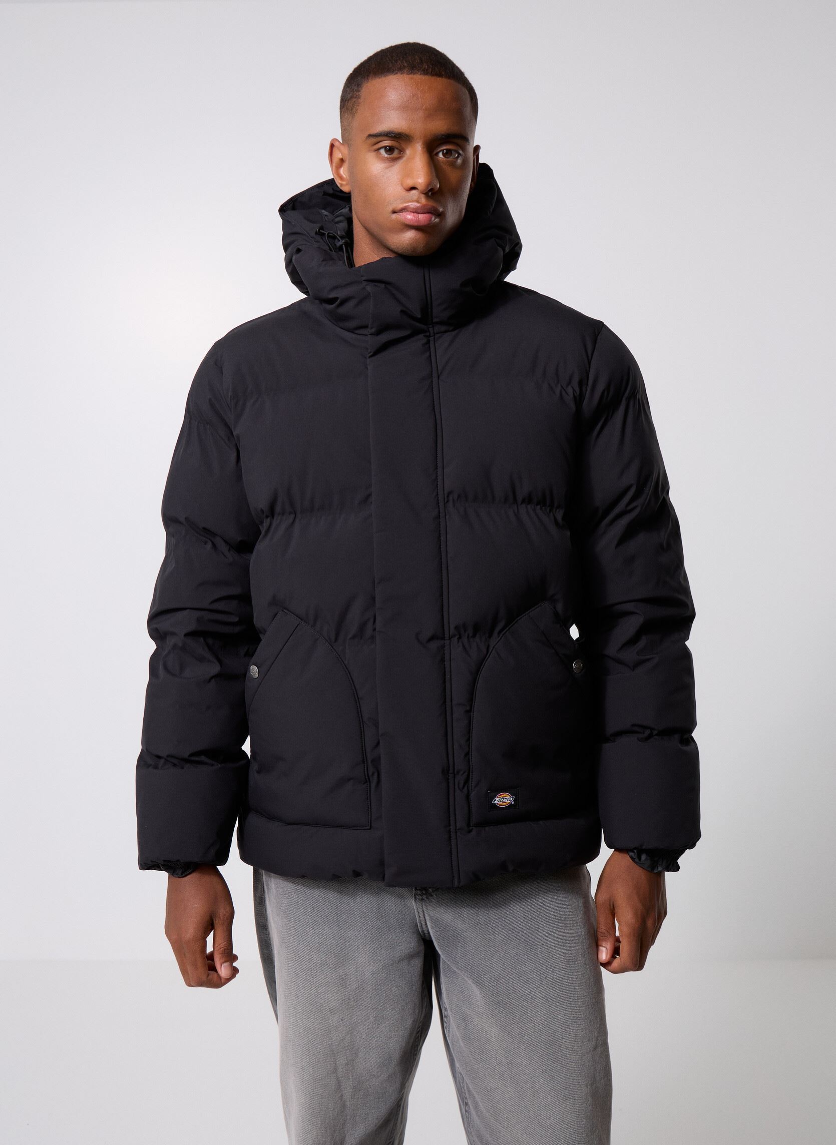 Vêtements Dickies Eagleville Hooded Puffer pour Accessoires