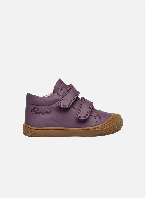 Naturino Baskets basses Sneakers COCOON VL Anthracite- garçon violet