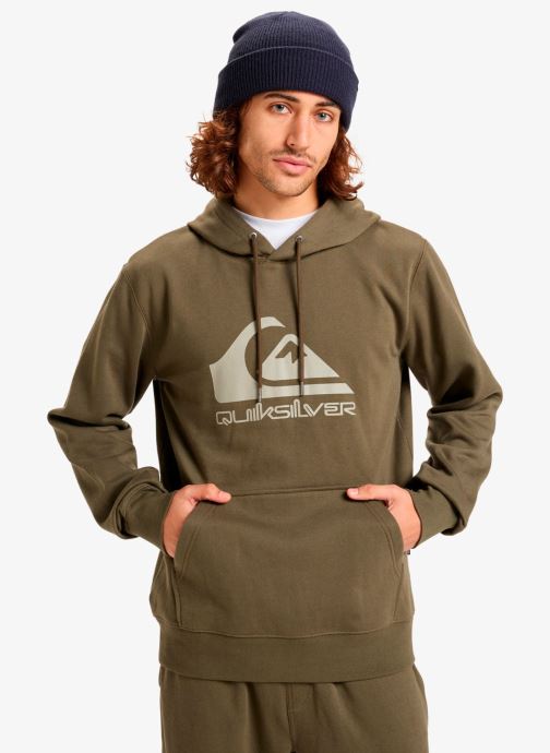 Quiksilver Sweats à capuche Comp Logo Hoodie homme vert
