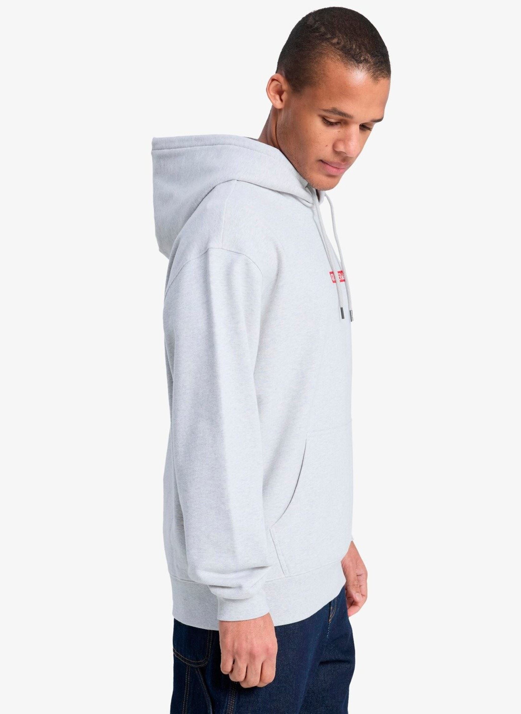 Hoodies Dna Hoodie heren grijs Quiksilver Hoodies Dna Hoodie heren grijs LIGHT GREY HEATHER