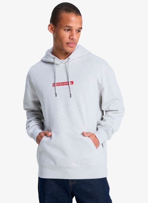 Quiksilver Sweats à capuche Dna Hoodie homme gris