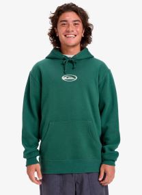 Kapuzenpullover Salt Water Graphic Hoodie herren grün
