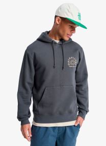 Kapuzenpullover Salt Water Graphic Hoodie herren grün