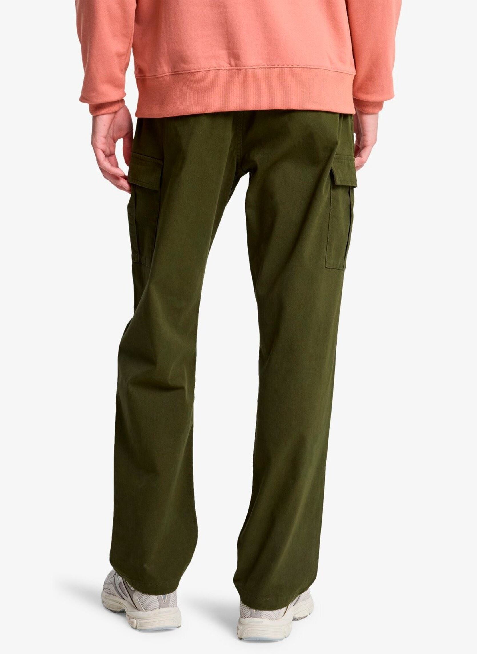 Pantalons chino Taxer Regular Cargo Pant homme vert Quiksilver Pantalons chino Taxer Regular Cargo Pant homme vert grape leaf
