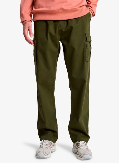 Quiksilver Pantalons chino Taxer Regular Cargo Pant homme vert