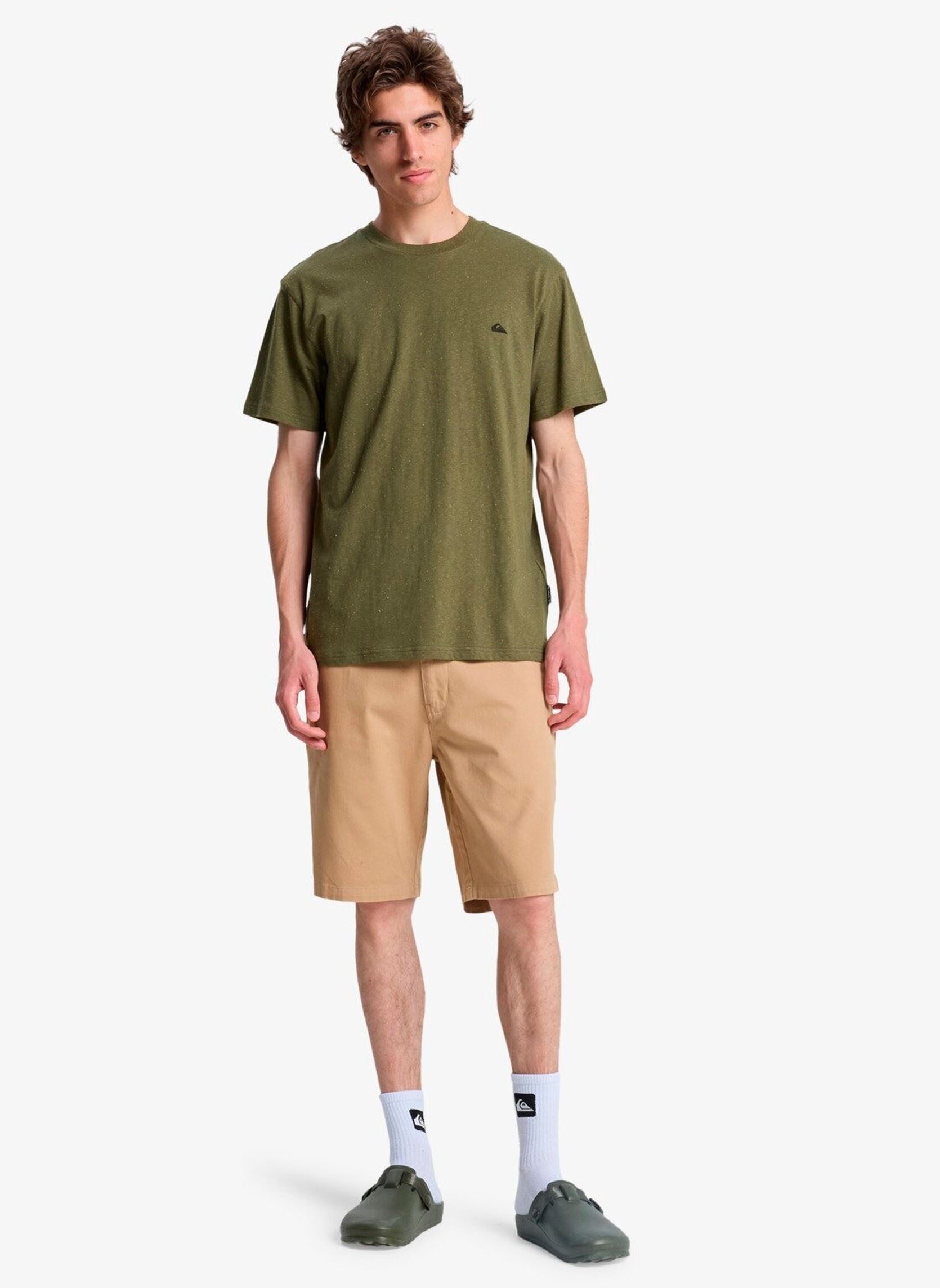 Tee-shirts manches courtes Mw Neps Ss homme vert Quiksilver Tee-shirts manches courtes Mw Neps Ss homme vert grape leaf
