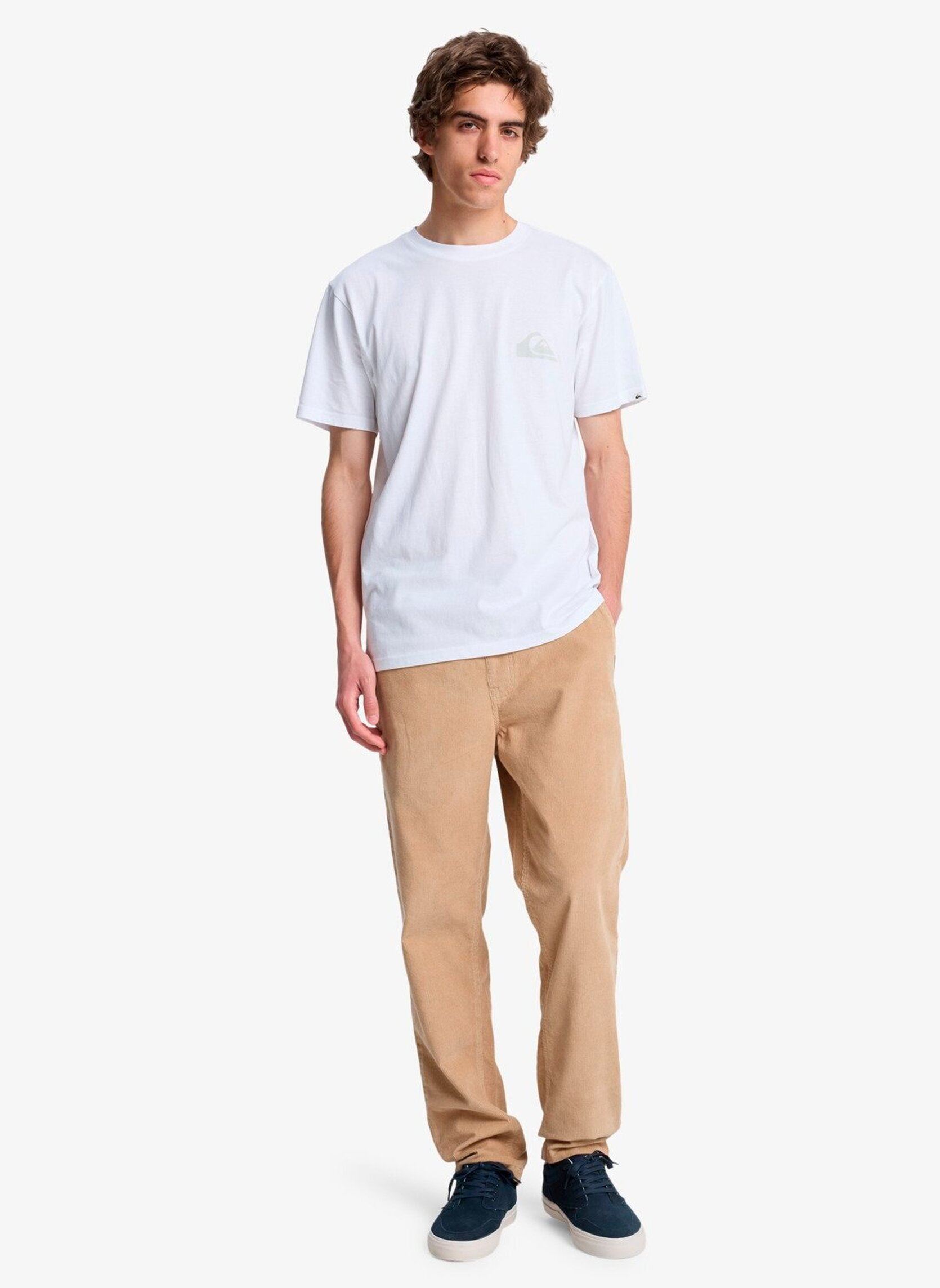 Tee-shirts Ev Mini Logo Ss homme blanc Quiksilver Tee-shirts Ev Mini Logo Ss homme blanc WHITE
