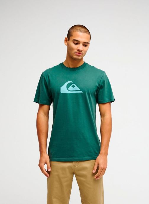 Quiksilver Tee-shirts Ev Comp Logo Ss homme vert