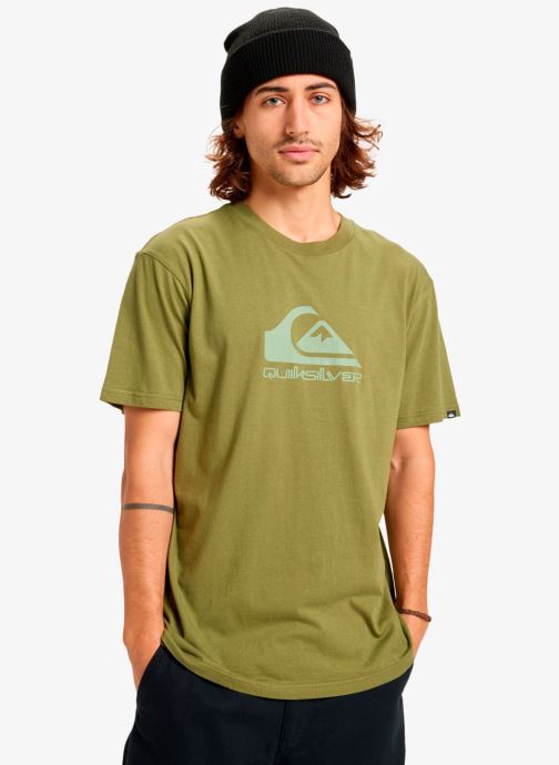 Quiksilver Tee-shirts manches courtes Ev Comp Logo Ss homme vert