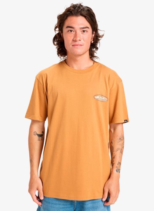 Quiksilver Tee-shirts manches courtes Evo Border Lines Ss homme marron