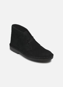 Derbies Desert Bt Evo. femme marron