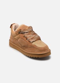 Baskets Cow suede sneaker maxi laces femme beige
