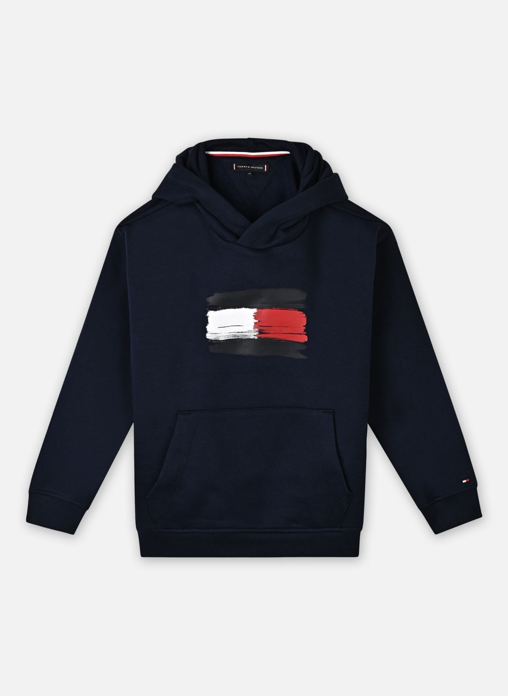 Vêtements Tommy Hilfiger Flag Hoodie KB0KB10112 pour Accessoires