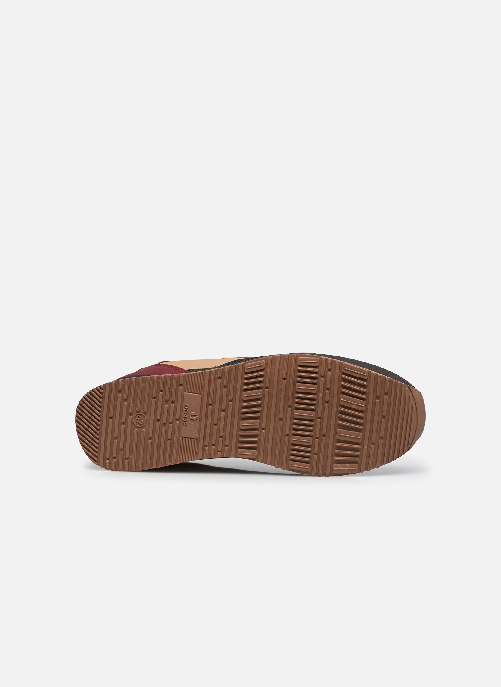 Baskets ANDRÉ homme vert Odaje Baskets ANDRÉ homme vert KAKI BORDEAUX MOUTARDE