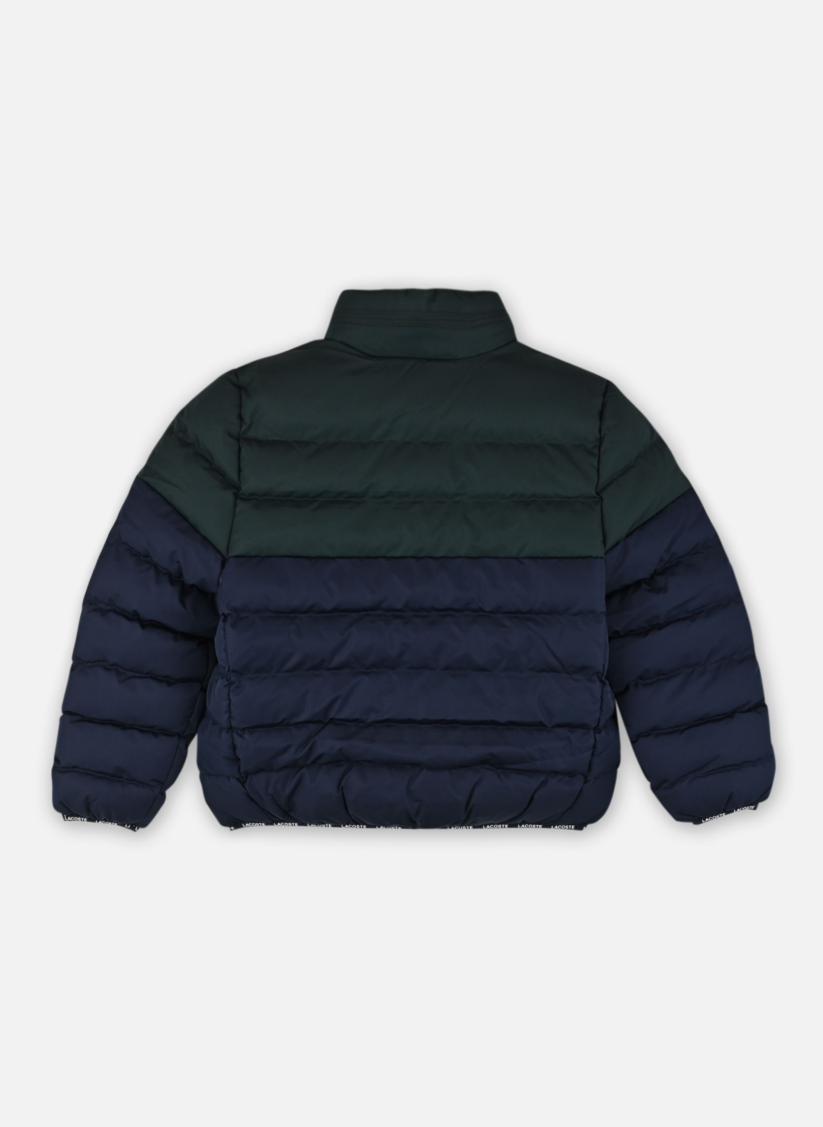 Daunenjacken Clrblk Midwt Puffer mehrfarbig Lacoste Daunenjacken Clrblk Midwt Puffer mehrfarbig SINOPLE