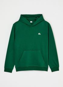 Sweatshirts mit Reißverschluss Basic Hoodie Youth jungen grün Quiksilver Sweatshirts mit Reißverschluss Basic Hoodie Youth jungen grün FOREST