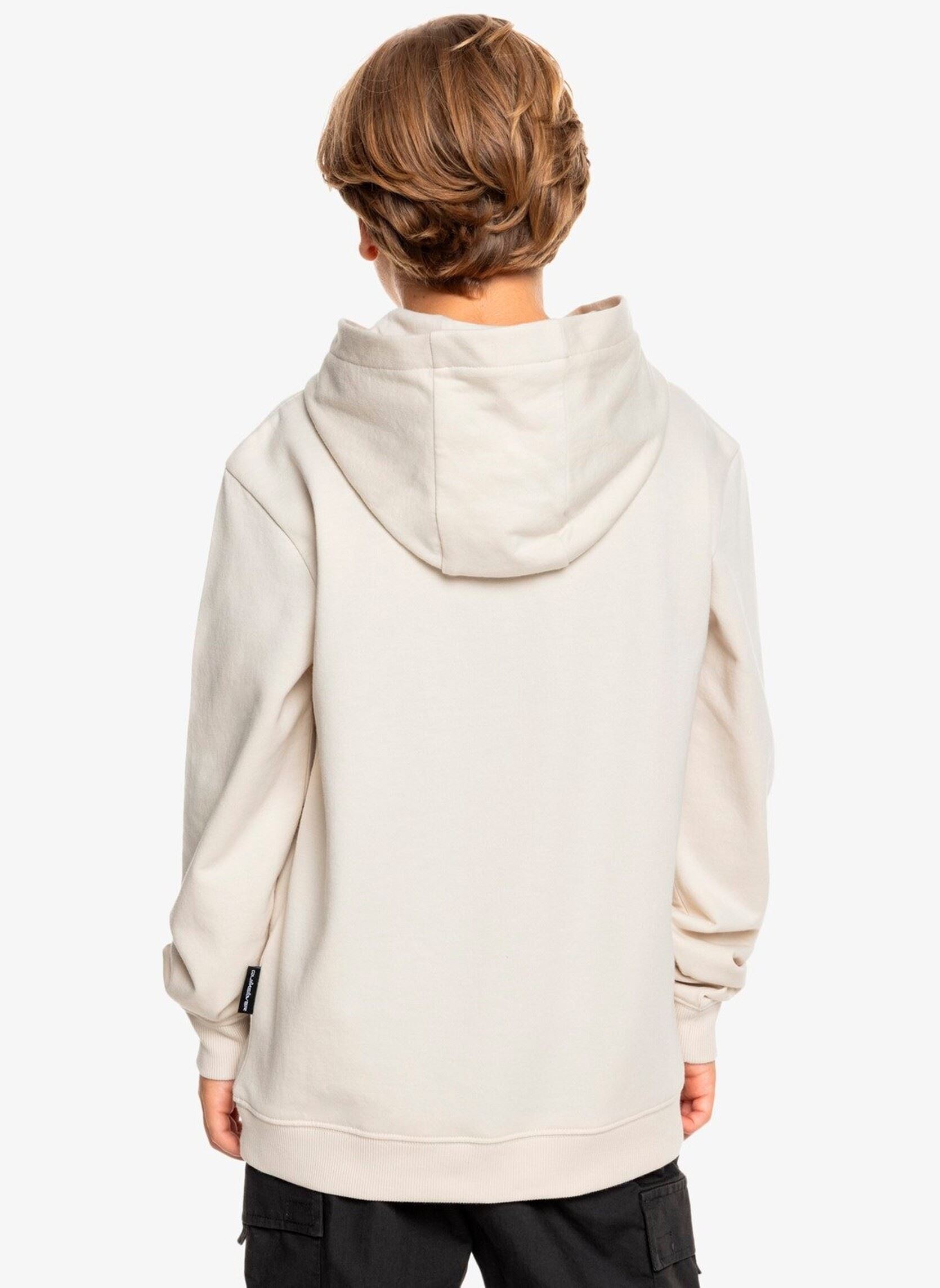 Sweatshirts mit Reißverschluss Basic Hoodie Youth jungen weiß Quiksilver Sweatshirts mit Reißverschluss Basic Hoodie Youth jungen weiß Birch