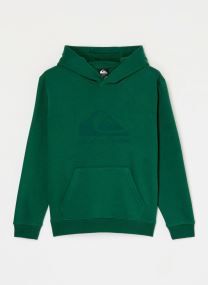 Sweaters met rits Comp Logo Hoodie Youth jongens groen Quiksilver Sweaters met rits Comp Logo Hoodie Youth jongens groen FOREST