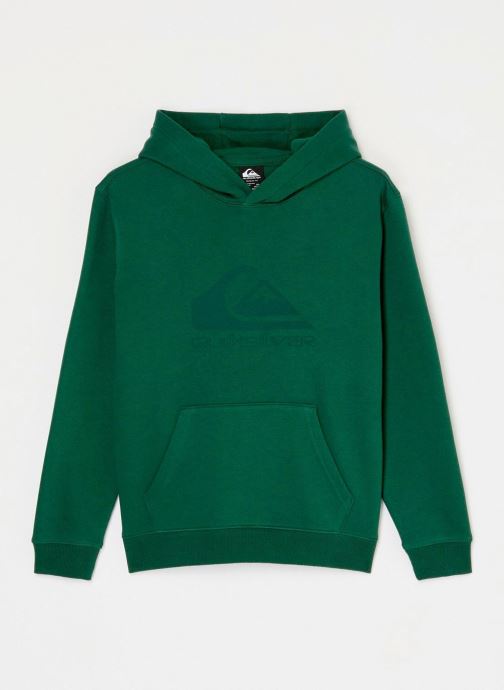 Quiksilver Sweaters met rits Comp Logo Hoodie Youth jongens groen