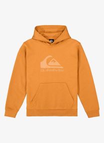 Sweats zippés Comp Logo Hoodie Youth garçon orange Quiksilver Sweats zippés Comp Logo Hoodie Youth garçon orange ALMOND
